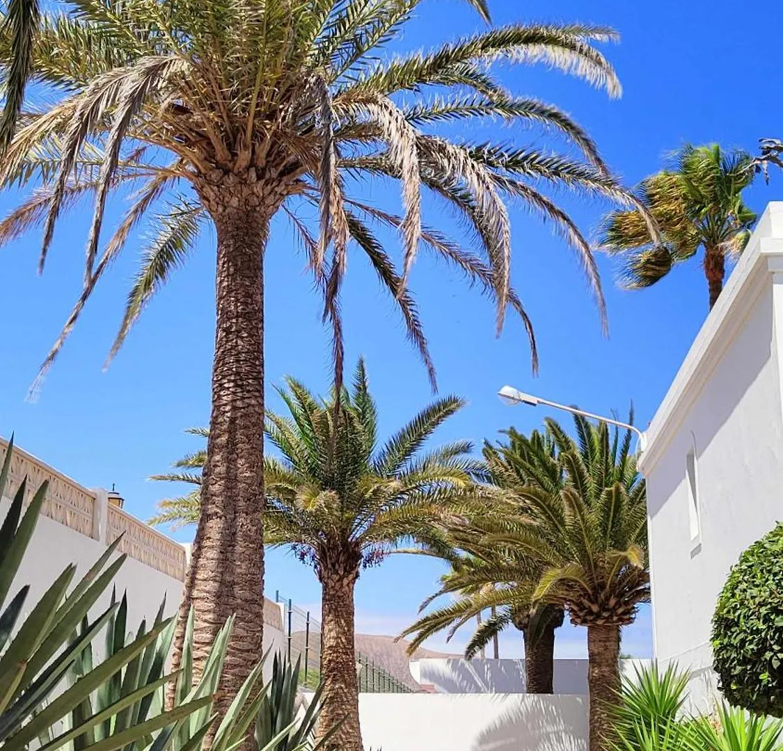Momi-S House Corralejo Dunas By Momifuerteventura 0*,
